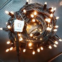 Светодиодная уличная гирлянда 24V 100 тёпло-белых LED ламп, 10 м, черный КАУЧУК, соединяемая, IP65